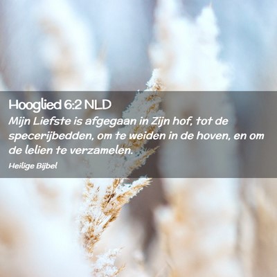 Picture 02 - Hooglied 6:2 NLD - Mijn Liefste is afgegaan in Zijn hof, tot de - Bible Verse Picture