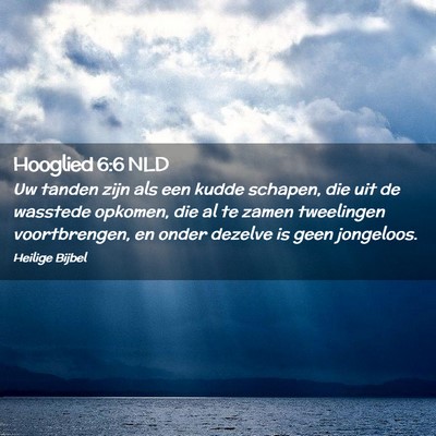 Picture 02 - Hooglied 6:6 NLD - Uw tanden zijn als een kudde schapen, die uit de - Bible Verse Picture
