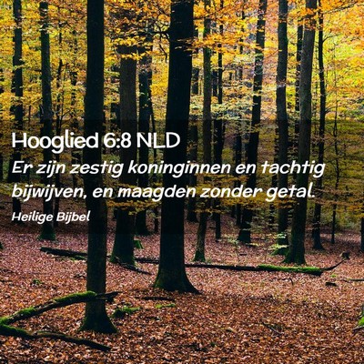 Picture 02 - Hooglied 6:8 NLD - Er zijn zestig koninginnen en tachtig bijwijven, - Bible Verse Picture