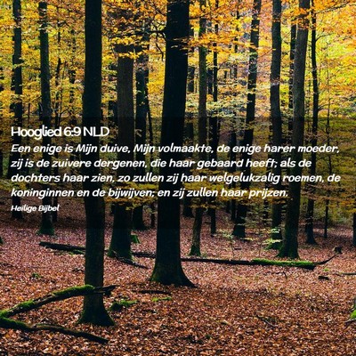 Picture 02 - Hooglied 6:9 NLD - Een enige is Mijn duive, Mijn volmaakte, de enige - Bible Verse Picture