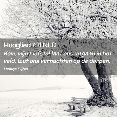 Picture 02 - Hooglied 7:11 NLD - Kom, mijn Liefste! laat ons uitgaan in het veld, - Bible Verse Picture