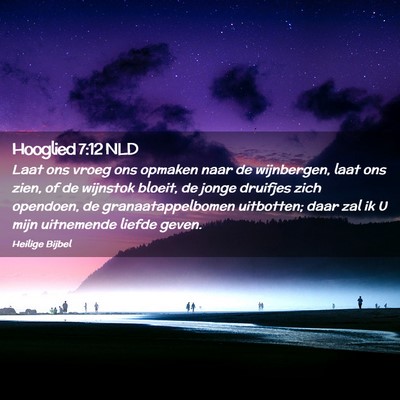 Picture 02 - Hooglied 7:12 NLD - Laat ons vroeg ons opmaken naar de wijnbergen, - Bible Verse Picture