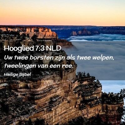 Picture 02 - Hooglied 7:3 NLD - Uw twee borsten zijn als twee welpen, tweelingen - Bible Verse Picture