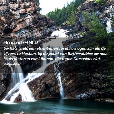Picture 02 - Hooglied 7:4 NLD - Uw hals is als een elpenbenen toren, uw ogen zijn - Bible Verse Picture