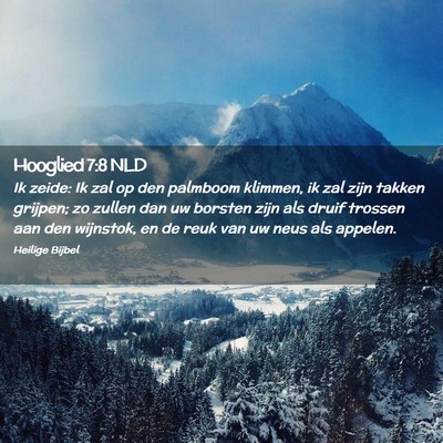 Picture 02 - Hooglied 7:8 NLD - Ik zeide: Ik zal op den palmboom klimmen, ik zal - Bible Verse Picture