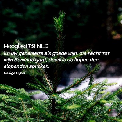 Picture 02 - Hooglied 7:9 NLD - En uw gehemelte als goede wijn, die recht tot - Bible Verse Picture