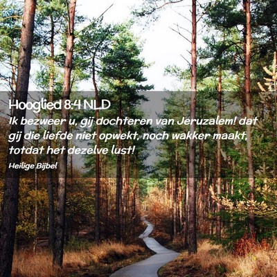 Picture 02 - Hooglied 8:4 NLD - Ik bezweer u, gij dochteren van Jeruzalem! dat - Bible Verse Picture