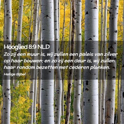 Picture 02 - Hooglied 8:9 NLD - Zo zij een muur is, wij zullen een paleis van - Bible Verse Picture