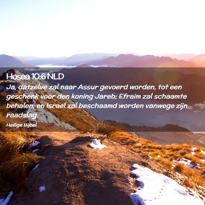 Picture 02 - Hosea 10:6 NLD - Ja, datzelve zal naar Assur gevoerd worden, tot - Bible Verse Picture