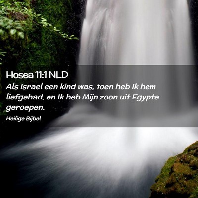 Picture 02 - Hosea 11:1 NLD - Als Israel een kind was, toen heb Ik hem - Bible Verse Picture