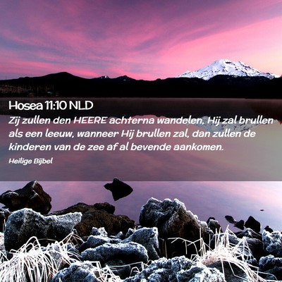 Picture 02 - Hosea 11:10 NLD - Zij zullen den HEERE achterna wandelen, Hij zal - Bible Verse Picture