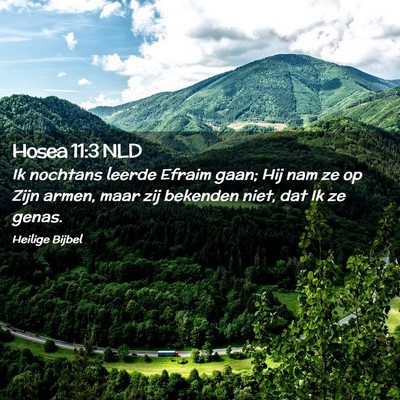 Picture 02 - Hosea 11:3 NLD - Ik nochtans leerde Efraim gaan; Hij nam ze op - Bible Verse Picture
