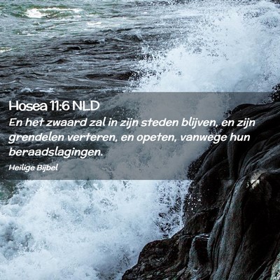 Picture 02 - Hosea 11:6 NLD - En het zwaard zal in zijn steden blijven, en zijn - Bible Verse Picture