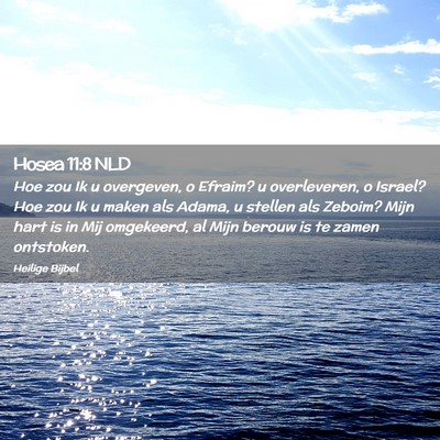 Picture 02 - Hosea 11:8 NLD - Hoe zou Ik u overgeven, o Efraim? u overleveren, - Bible Verse Picture