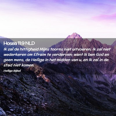 Picture 02 - Hosea 11:9 NLD - Ik zal de hittigheid Mijns toorns niet uitvoeren; - Bible Verse Picture