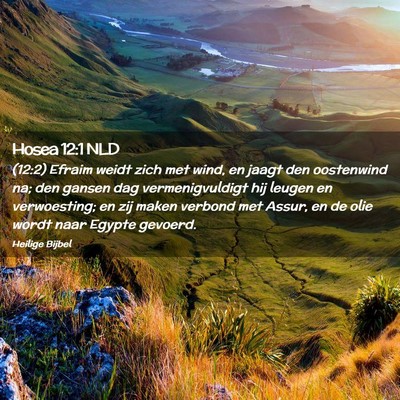 Picture 02 - Hosea 12:1 NLD - (12:2) Efraim weidt zich met wind, en jaagt den - Bible Verse Picture