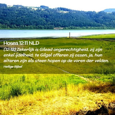 Picture 02 - Hosea 12:11 NLD - (12:12) Zekerlijk is Gilead ongerechtigheid, zij - Bible Verse Picture