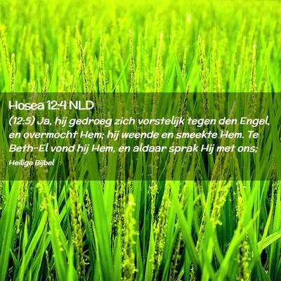 Picture 02 - Hosea 12:4 NLD - (12:5) Ja, hij gedroeg zich vorstelijk tegen den - Bible Verse Picture