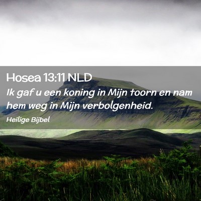Picture 02 - Hosea 13:11 NLD - Ik gaf u een koning in Mijn toorn en nam hem weg - Bible Verse Picture