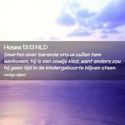 Picture 02 - Hosea 13:13 NLD - Smarten ener barende vrouw zullen hem aankomen; - Bible Verse Picture
