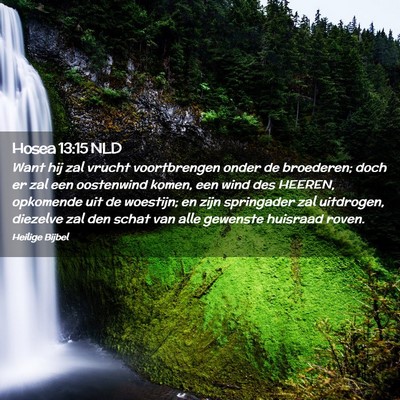 Picture 02 - Hosea 13:15 NLD - Want hij zal vrucht voortbrengen onder de - Bible Verse Picture