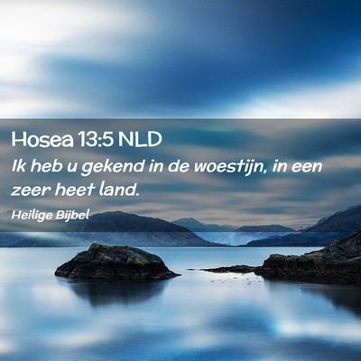 Picture 02 - Hosea 13:5 NLD - Ik heb u gekend in de woestijn, in een zeer heet - Bible Verse Picture