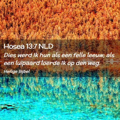 Picture 02 - Hosea 13:7 NLD - Dies werd Ik hun als een felle leeuw; als een - Bible Verse Picture