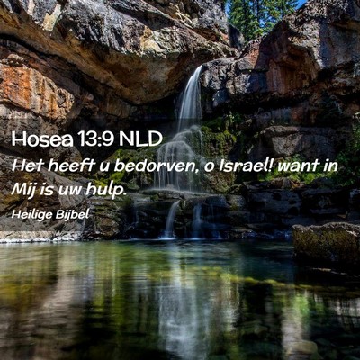Picture 02 - Hosea 13:9 NLD - Het heeft u bedorven, o Israel! want in Mij is uw - Bible Verse Picture