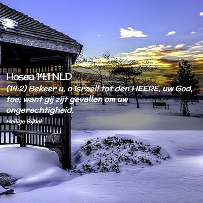 Picture 02 - Hosea 14:1 NLD - (14:2) Bekeer u, o Israel! tot den HEERE, uw God, - Bible Verse Picture