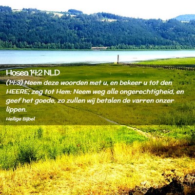 Picture 02 - Hosea 14:2 NLD - (14:3) Neem deze woorden met u, en bekeer u tot - Bible Verse Picture