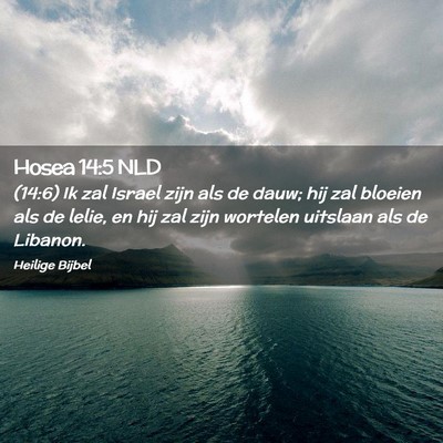 Picture 02 - Hosea 14:5 NLD - (14:6) Ik zal Israel zijn als de dauw; hij zal - Bible Verse Picture