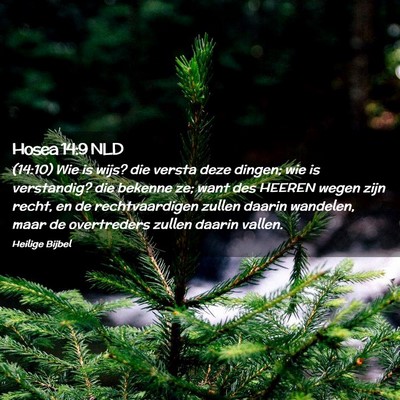 Picture 02 - Hosea 14:9 NLD - (14:10) Wie is wijs? die versta deze dingen; wie - Bible Verse Picture