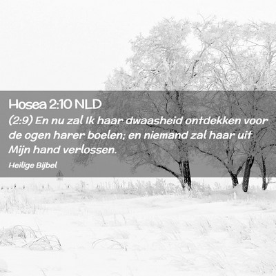 Picture 02 - Hosea 2:10 NLD - (2:9) En nu zal Ik haar dwaasheid ontdekken voor - Bible Verse Picture