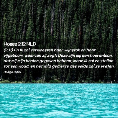 Picture 02 - Hosea 2:12 NLD - (2:11) En Ik zal verwoesten haar wijnstok en haar - Bible Verse Picture
