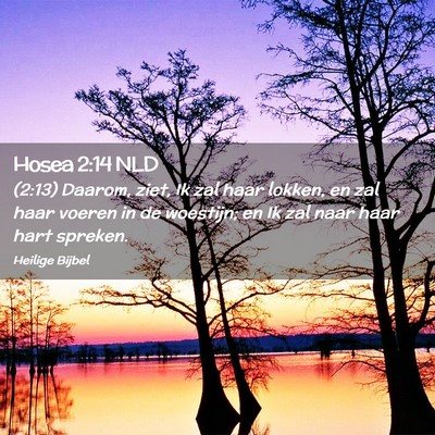 Picture 02 - Hosea 2:14 NLD - (2:13) Daarom, ziet, Ik zal haar lokken, en zal - Bible Verse Picture