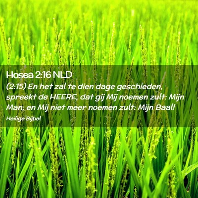 Picture 02 - Hosea 2:16 NLD - (2:15) En het zal te dien dage geschieden, - Bible Verse Picture