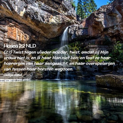 Picture 02 - Hosea 2:2 NLD - (2:1) Twist tegen ulieder moeder, twist, omdat - Bible Verse Picture