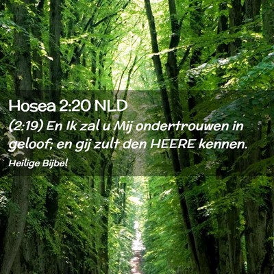 Picture 02 - Hosea 2:20 NLD - (2:19) En Ik zal u Mij ondertrouwen in geloof; en - Bible Verse Picture