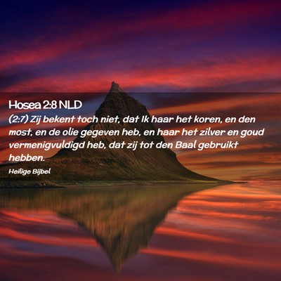 Picture 02 - Hosea 2:8 NLD - (2:7) Zij bekent toch niet, dat Ik haar het - Bible Verse Picture