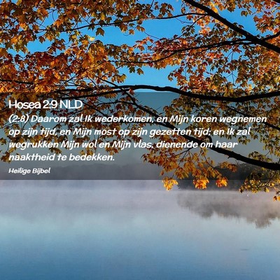 Picture 02 - Hosea 2:9 NLD - (2:8) Daarom zal Ik wederkomen, en Mijn koren - Bible Verse Picture