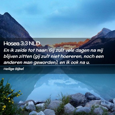 Picture 02 - Hosea 3:3 NLD - En ik zeide tot haar: Gij zult vele dagen na mij - Bible Verse Picture