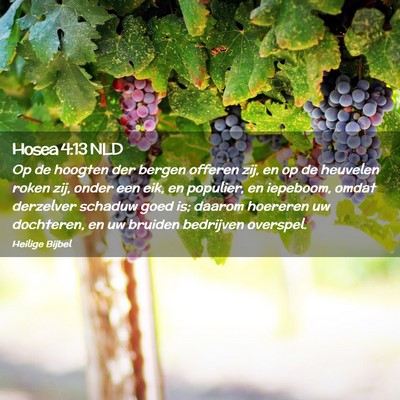 Picture 02 - Hosea 4:13 NLD - Op de hoogten der bergen offeren zij, en op de - Bible Verse Picture