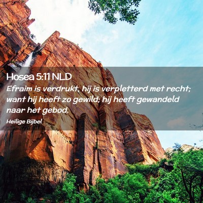 Picture 02 - Hosea 5:11 NLD - Efraim is verdrukt, hij is verpletterd met recht; - Bible Verse Picture