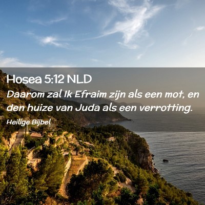 Picture 02 - Hosea 5:12 NLD - Daarom zal Ik Efraim zijn als een mot, en den - Bible Verse Picture