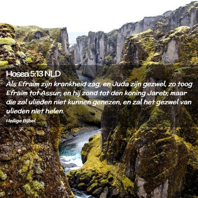 Picture 02 - Hosea 5:13 NLD - Als Efraim zijn krankheid zag, en Juda zijn - Bible Verse Picture