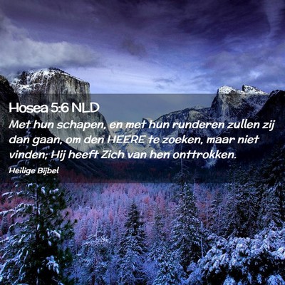 Picture 02 - Hosea 5:6 NLD - Met hun schapen, en met hun runderen zullen zij - Bible Verse Picture