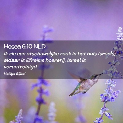 Picture 02 - Hosea 6:10 NLD - Ik zie een afschuwelijke zaak in het huis - Bible Verse Picture