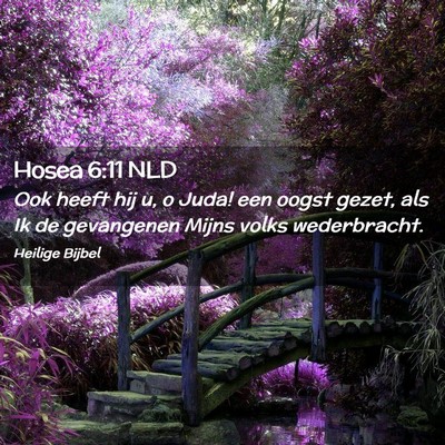 Picture 02 - Hosea 6:11 NLD - Ook heeft hij u, o Juda! een oogst gezet, als Ik - Bible Verse Picture