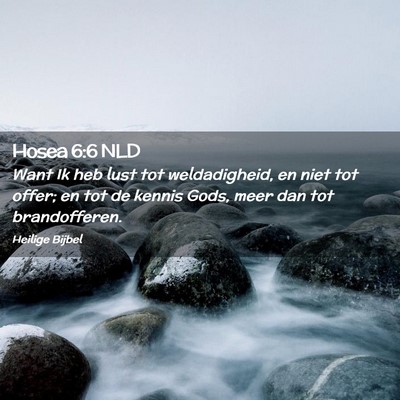 Picture 02 - Hosea 6:6 NLD - Want Ik heb lust tot weldadigheid, en niet tot - Bible Verse Picture