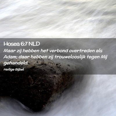 Picture 02 - Hosea 6:7 NLD - Maar zij hebben het verbond overtreden als Adam; - Bible Verse Picture